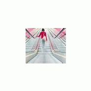 ESCALIER MÉCANIQUE POUR ENVIRONNEMENT COMMERCIAL