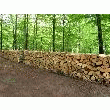 construire immeuble - BOIS DE CHAUFFAGE