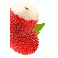 LITCHI