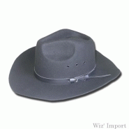 CHAPEAU FEUTRE