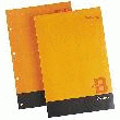 BLOC BUREAU BRUNEAU MANAGER FORMAT A4+ 21 X 31 CM  PERFORÉ 4 TROUS PETITS CARREAUX 100 FEUILLES - BRUNEAU