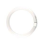 Generateur electrique industrie - LAMPE FLUORESCENTE 2GX13 16X300 CIRCLINE
