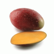 MANGUE AMELIE BIO