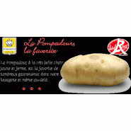 POMME DE TERRE - POMPADOUR