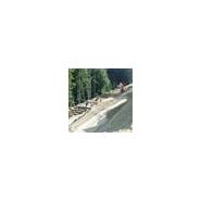 SERVICE GéNIE FORESTIER > STABILISATION DE TERRAIN