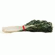 CÔTE DE BLETTE ORIGINE FRANCE LA BOTTE DE 1KG