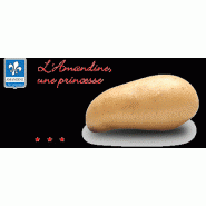 POMME DE TERRE - AMANDINE