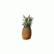 ANANAS SWEET ORIGINE COSTA RICA CALIBRE 7/8 CAT 1 LA PIÈCE