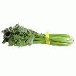 CELERI BRANCHE ORIGINE FRANCE LA BOTTE DE 1 KG