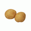 POMME DE TERRE CHARLOTTE ORIGINE FRANCE CAL 35/55 FILET 2.5K
