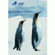 CATALOGUE ITE 2004