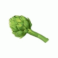 ARTICHAUT