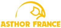 Logo Asthor France Logo Asthor France