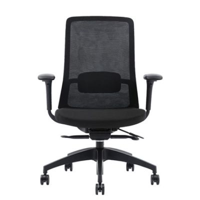 Fauteuil avec soutien lombaire réglable Fauteuil avec soutien lombaire réglable