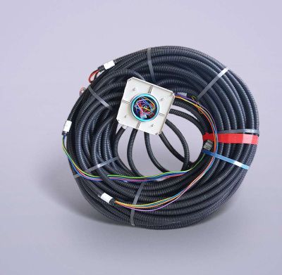 pieuvre électrique nue pieuvre électrique nue
