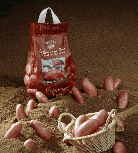 1 5 Kg Pommes Combien Pommes - gadagiq.over-blog.com