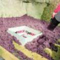 Construction de la route yaounde kribi