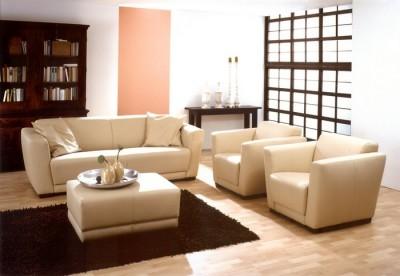 Petites annonces canape et fauteuil en rotin beige table salon vente achat