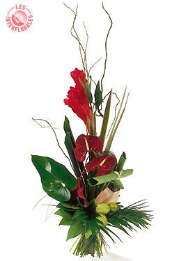 http://www.hellopro.fr/images/produit-2/2/6/3/bouquet-de-fleur-lombok-255362.jpg