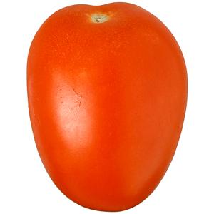tomate-romaine-saveol-cal-47-67-barquette-de-750g-2109663.jpg