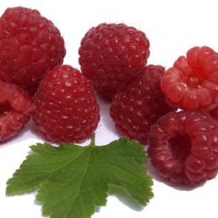 http://www.hellopro.fr/images/produit-2/4/1/6/framboises-williamette-surgelees-849614.jpg