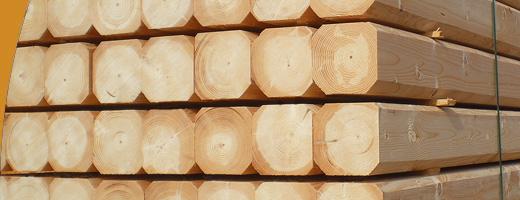 Chevron sapin pica bois trait classe L. m 63xmm - Point. P