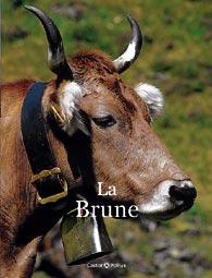 Quelques vaches en images dans VACHE - BOEUF.... vaches-la-brune-214716