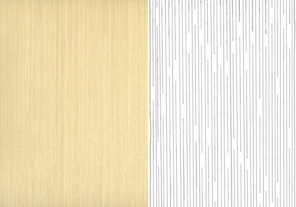 Formica Veneer
