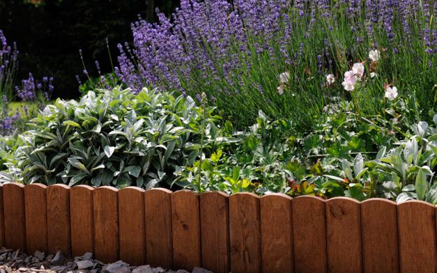 Le jardin et la décoration d'extérieur