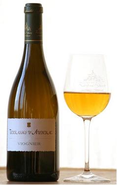 Condamine Bertrand