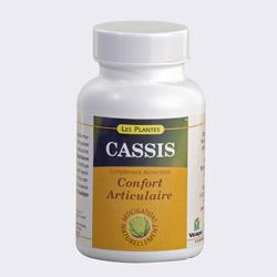 CASSIS POUR SOIN ARTICULAIRE - RIBES NIGRUM
