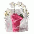 FILM CELLOPHANE FLEURISTE 10X0.7 - ROULEAU FILM CELLOPHANE