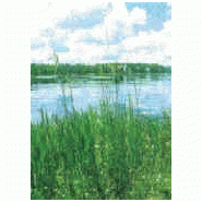 PRÉLEVEMENT ET ANALYSE DES EAUX USEES