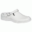 CHAUSSURE DE TRAVAIL FEMME 6903