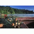 POISSONS ET FRUITS DE MER