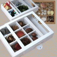 BOITE VITRINE - LA RAMASSE