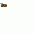CABLE 6X19 GALVA RF. 1022IGA180