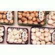 CHAMPIGNONS DU VAL DE LOIRE