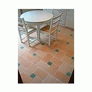 CARRELAGE TERRE CUITE 20X30