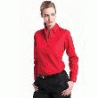 CHEMISE EN POPELINE PUR COTON FEMME