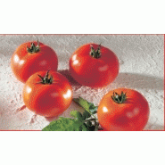 TOMATE GRAPPE - BRENDA F1