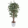 PLANTE ARTIFICIELLE D'INTÉRIEUR FICUS LIANE PETITES FEUILLES -