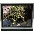 MONITEUR FLASH 17