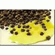 POIVRE LIQUIDE INDUSTRIEL LUTETIA