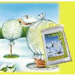 VOILE D'HIVERNAGE