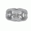 EMBALLAGE PULPE POUR 2 GOBELETS