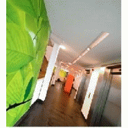 PLAFOND PHONOISOLANT - MONO ACOUSTIC TE