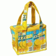 SAC DE PLAGE PETITE VANITY