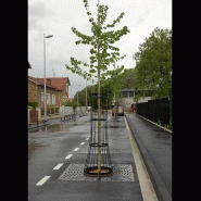 CORSET DE PROTECTION D'ARBRE