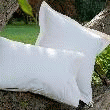 ECOLO ADDICT TAIE D'OREILLER MONOGRAMME 65 X 65 CM TAIE D'OREILLER